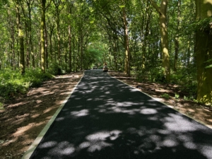 Competitive Pricing Competitve Pricing